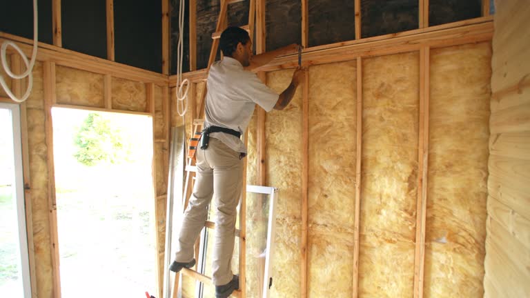 Best Attic Insulation Installation  in Coson, OK